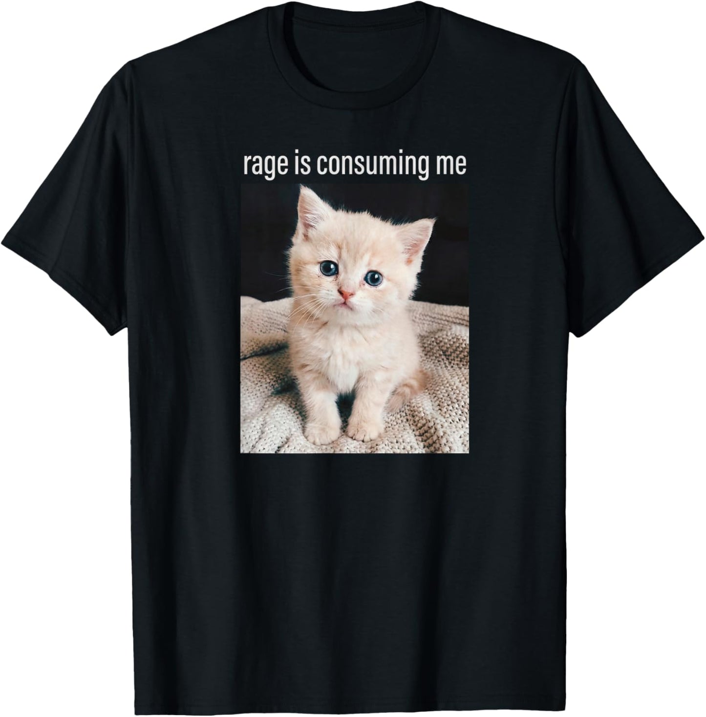 Cat Meme Rage is Consuming Me Minimalist Humor T-Shirt - T-Shirt | Black