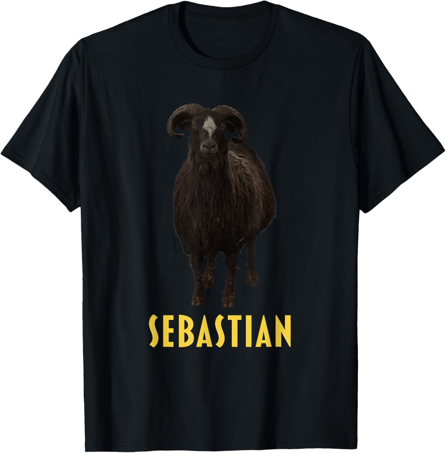 Sebastian T-Shirt - T-Shirt | Black