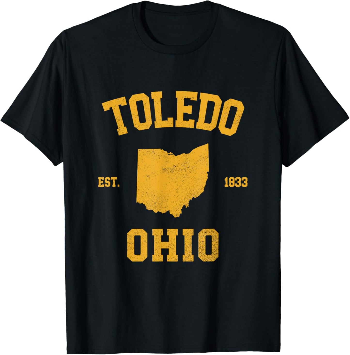 Toledo Ohio T-Shirt - T-Shirt | Black