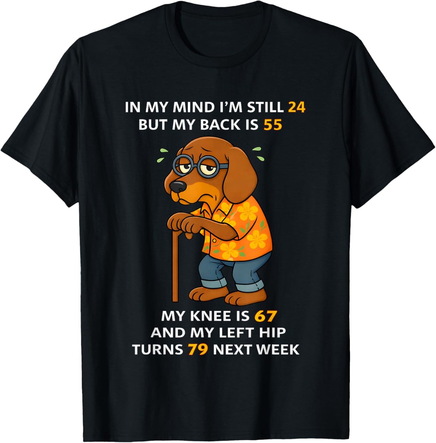 Dog in My Mind I'm Still 24 But My Back is 55 My Knee is 67 T-Shirt - T-Shirt | Black