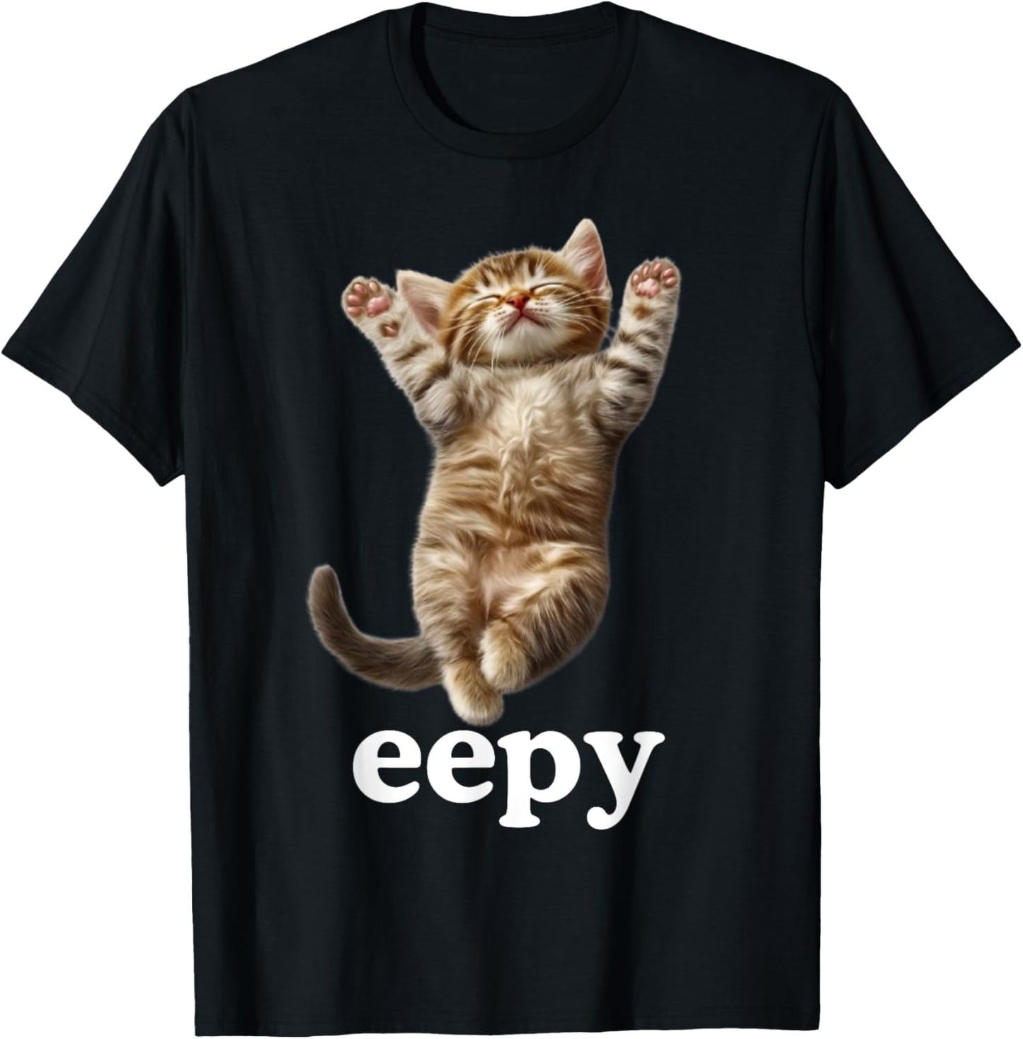 Adult Cat Meme , Black, Small, Short Sleeve T-Shirt - T-Shirt | Black
