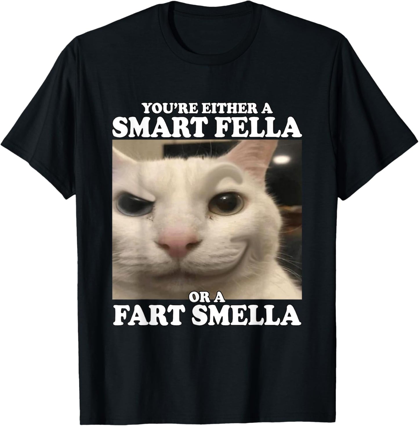 You're Either A Smart Fella Or A Fart Smella Funny Cat Meme T-Shirt - T-Shirt | Black