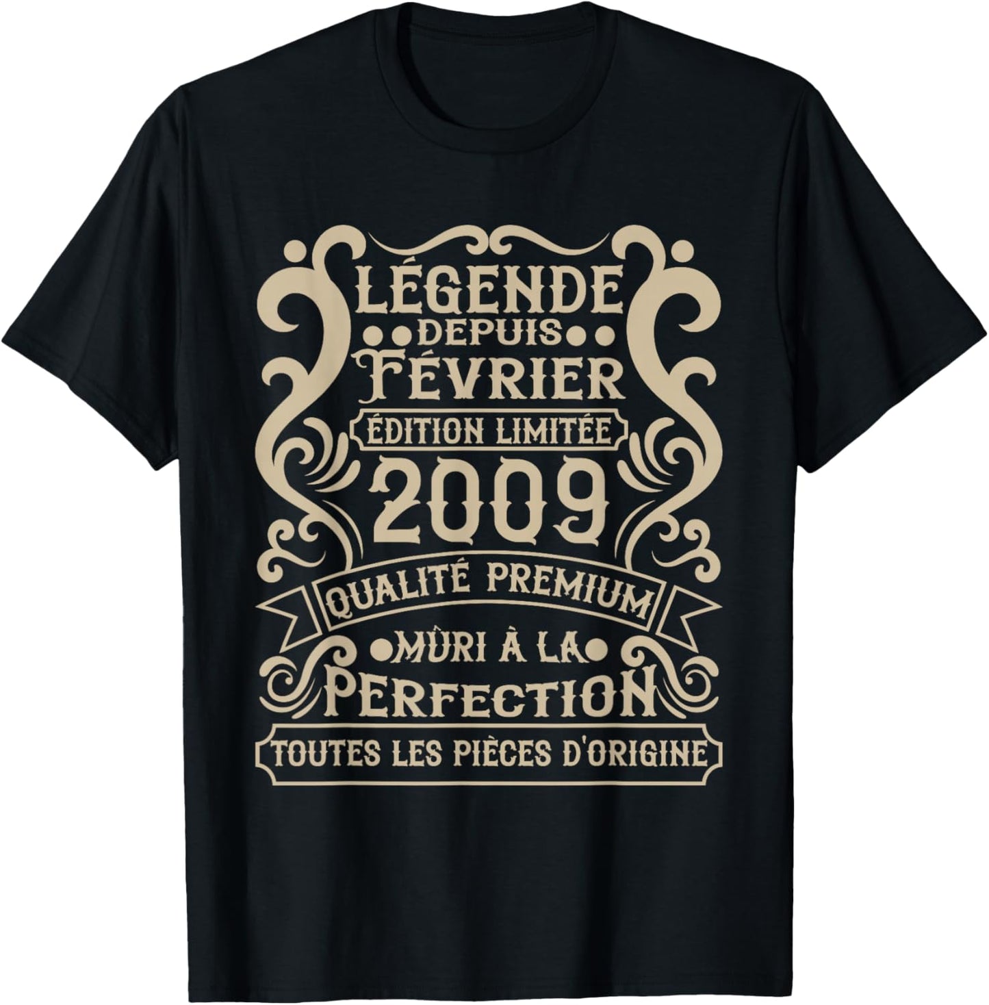 February 2009-17 Years Anniversary Gift Vintage 2009 T-Shirt - T-Shirt | Black