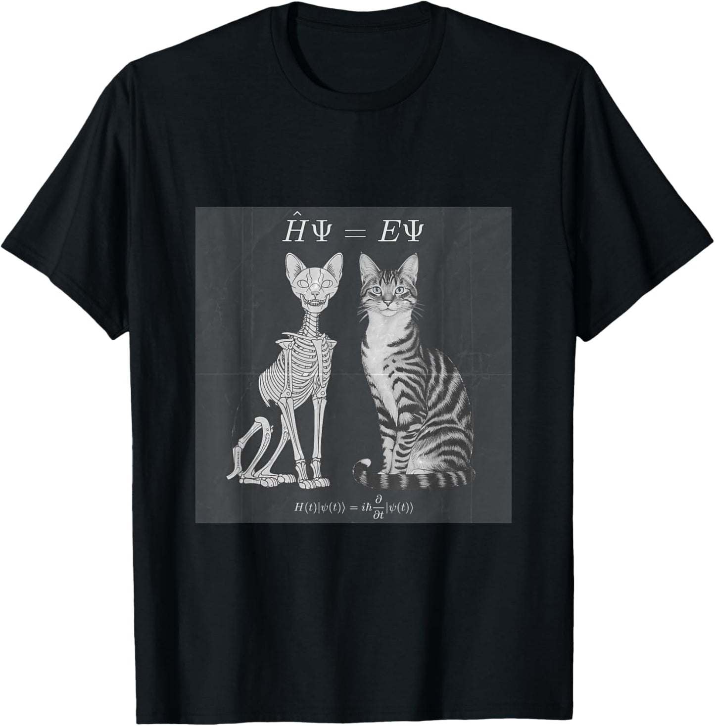 Quantum Superposition Schodinger's Cat Equation Dead Alive Women T-Shirt - T-Shirt | Black