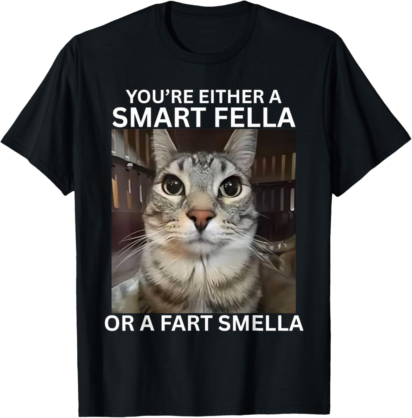 You're Either A Smart Fella Or A Fart Smella Meme Cat Meme T-Shirt - T-Shirt | Black