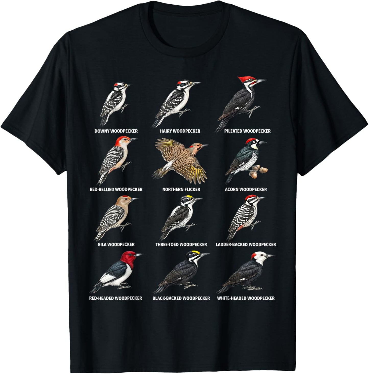 Woodpecker Species Chart – Types of Woodpeckers T-Shirt - T-Shirt | Black