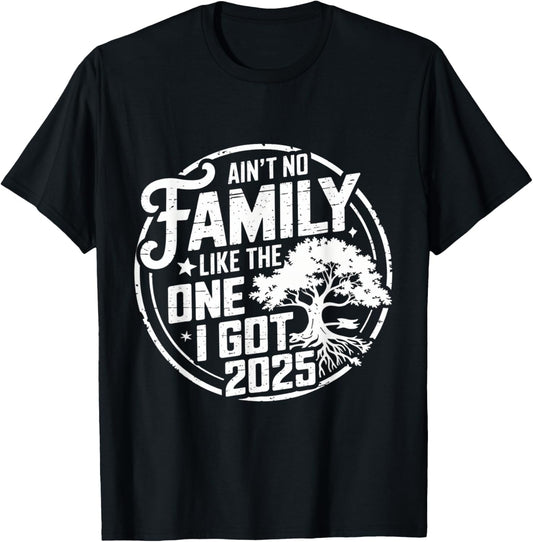 Ain't No Family Like The One I Got Reunion 2025 funny T-Shirt - T-Shirt | Black