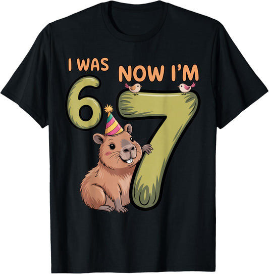 Birthday Girl Boy I was 6 Now I'm 7 Six Seven Capybara 67 T-Shirt - T-Shirt | Black