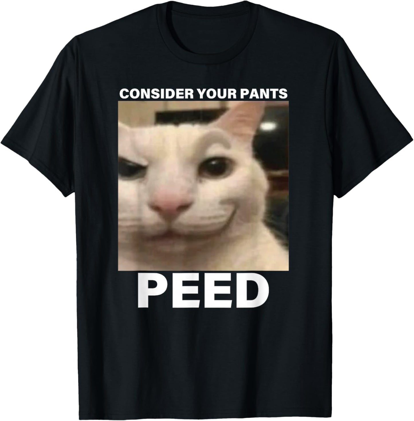 Consider Your Pants Peed Funny Cat Meme T-Shirt - T-Shirt | Black