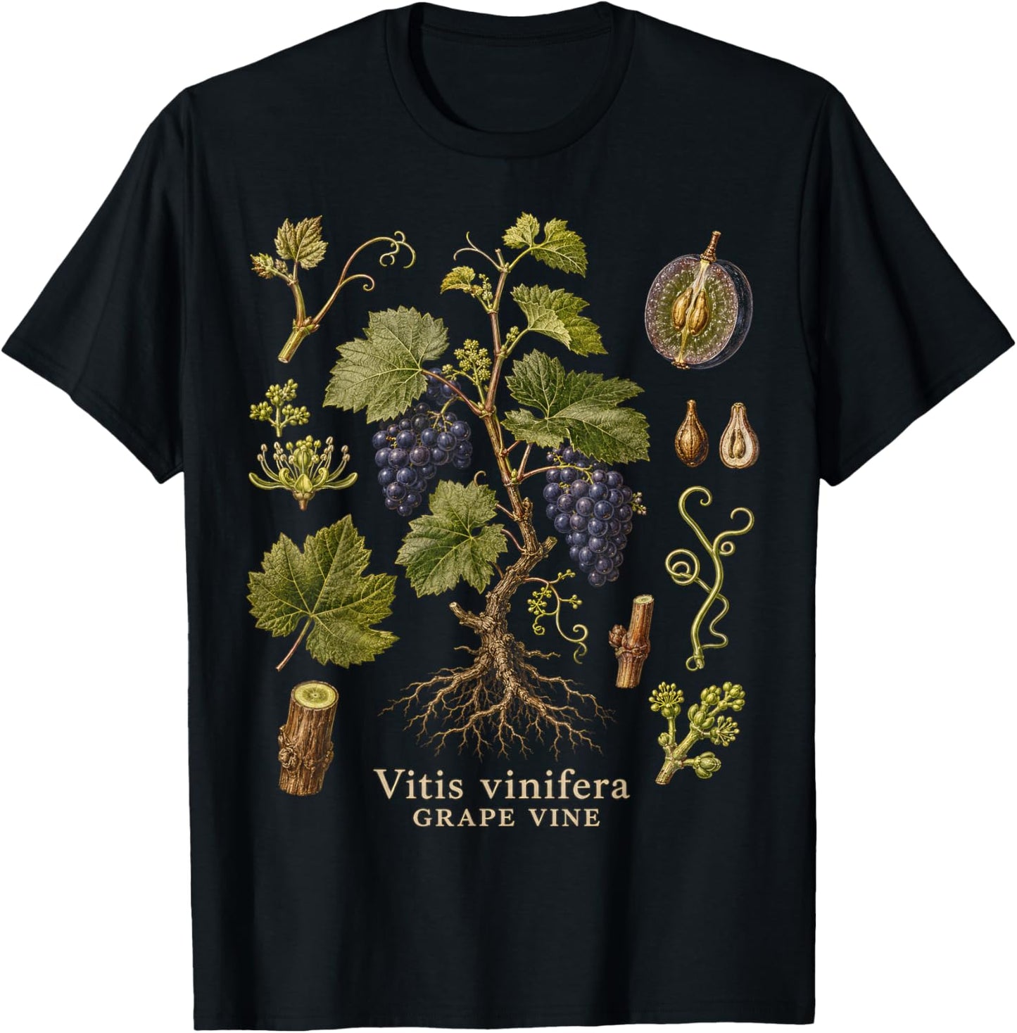 Grape Vine Botanical Anatomy Vintage Nature Study Art T-Shirt - T-Shirt | Black