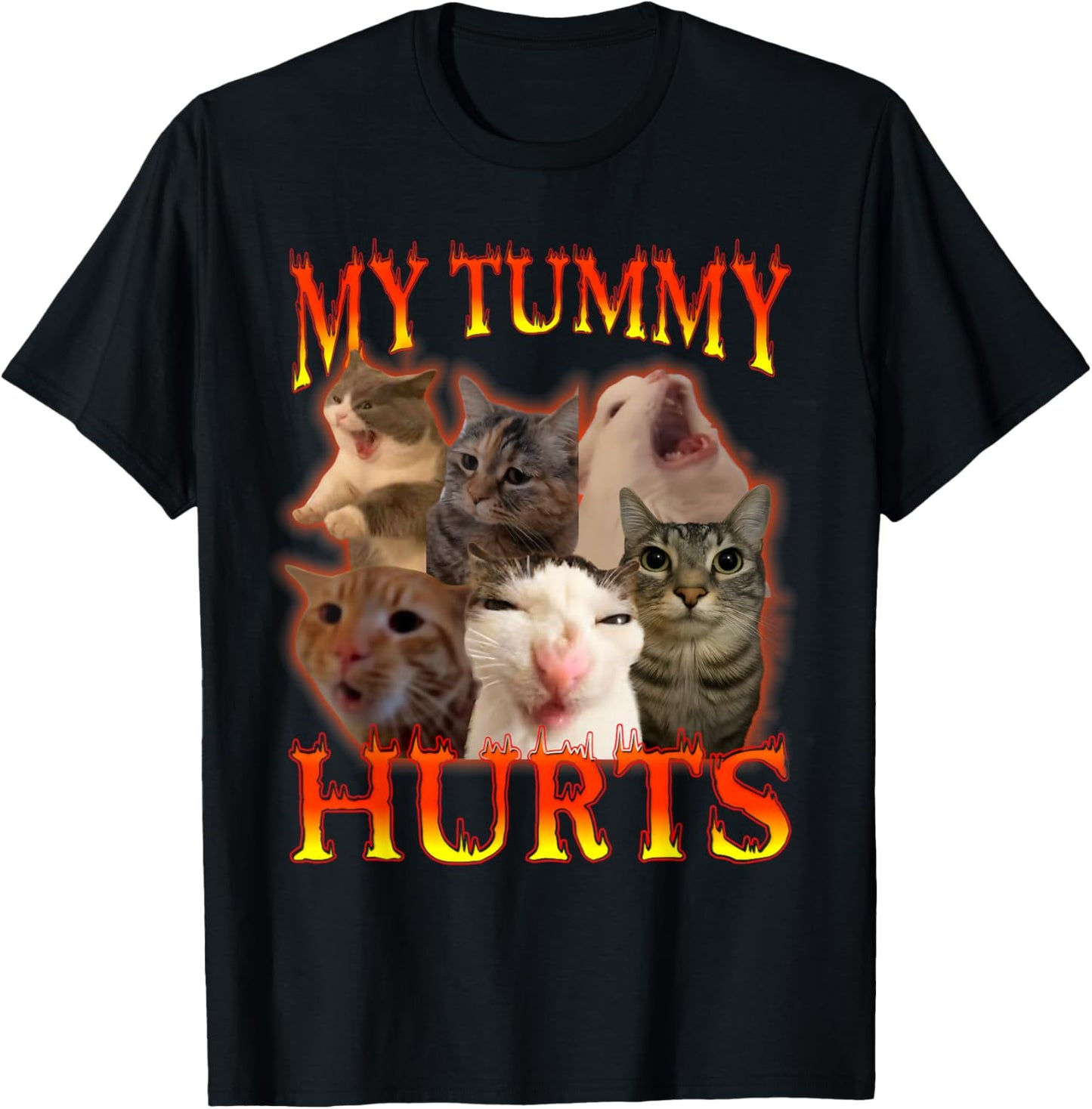 My Belly Really Hurts Cat Lactose Intolerant T-Shirt - T-Shirt | Black