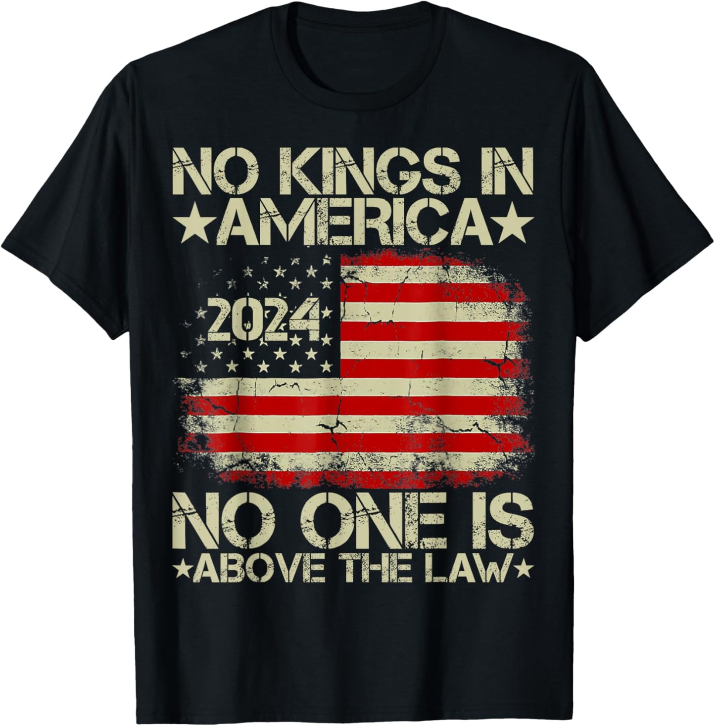 No Kings In America 2024 No One Is Above The Law T-Shirt - T-Shirt | Black