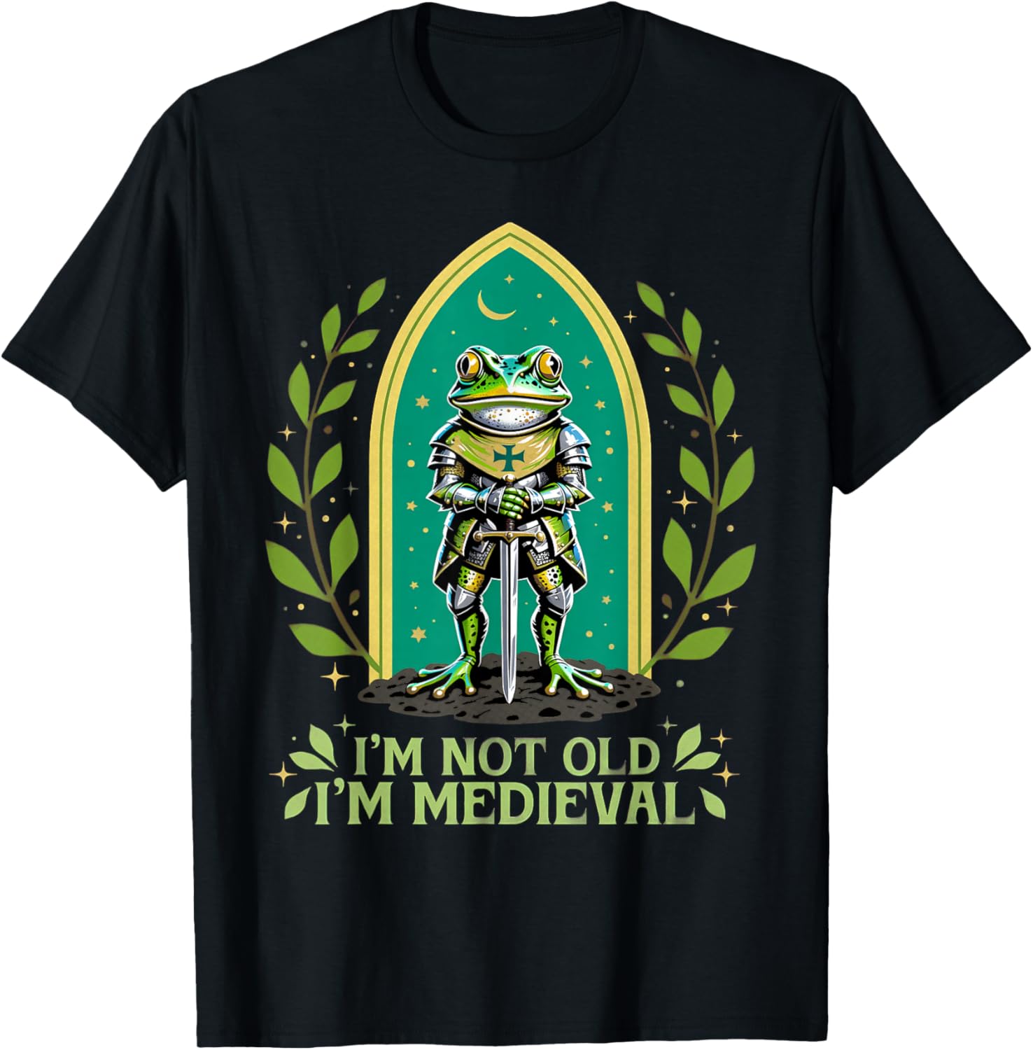 Im Not Old I'm Medieval Funny Frog Knight Fantasy Humour T-Shirt - T-Shirt | Black