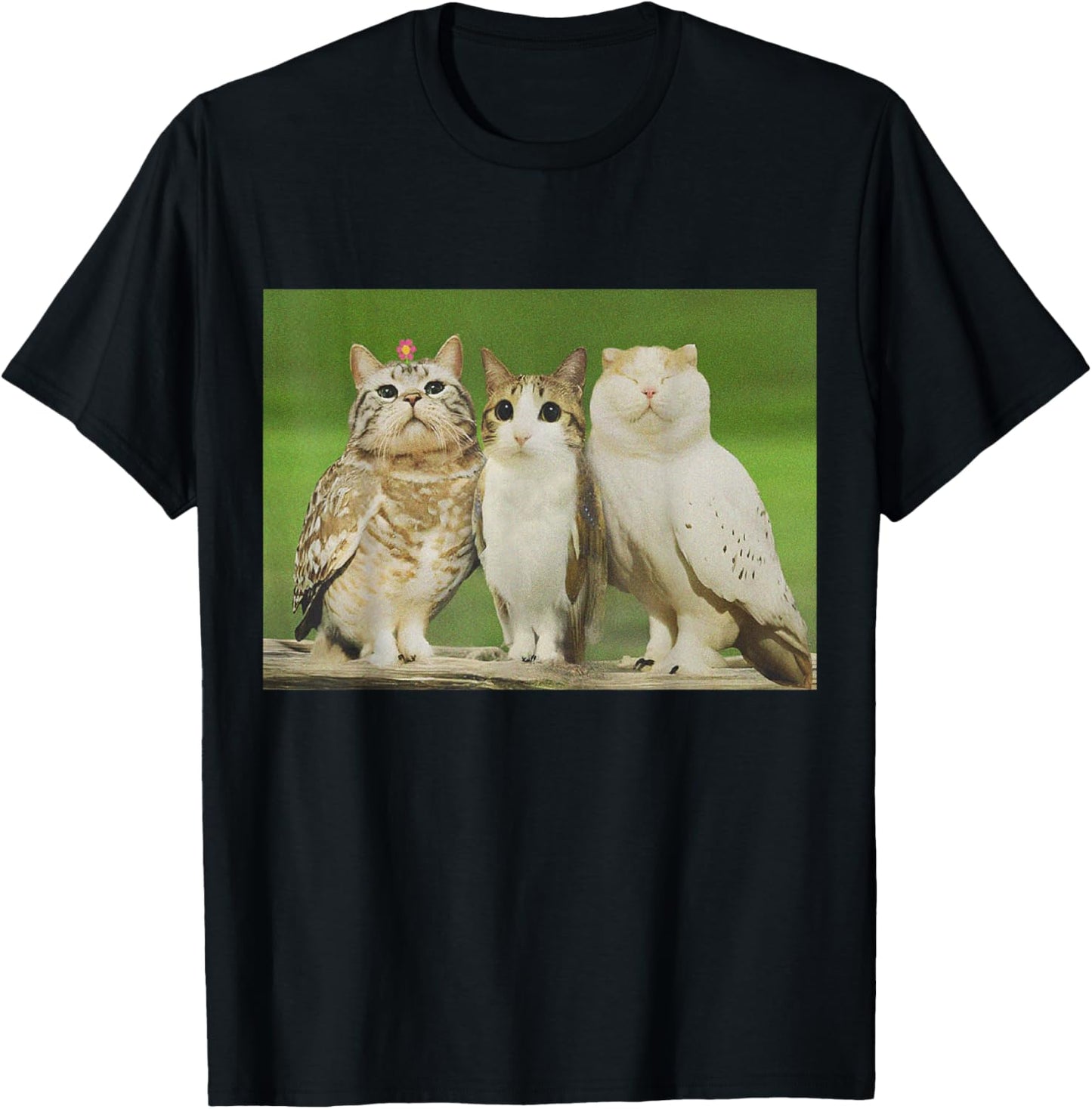 Trio Cat Owl Funny Cursed Internet Trendy Meme T-Shirt - T-Shirt | Black