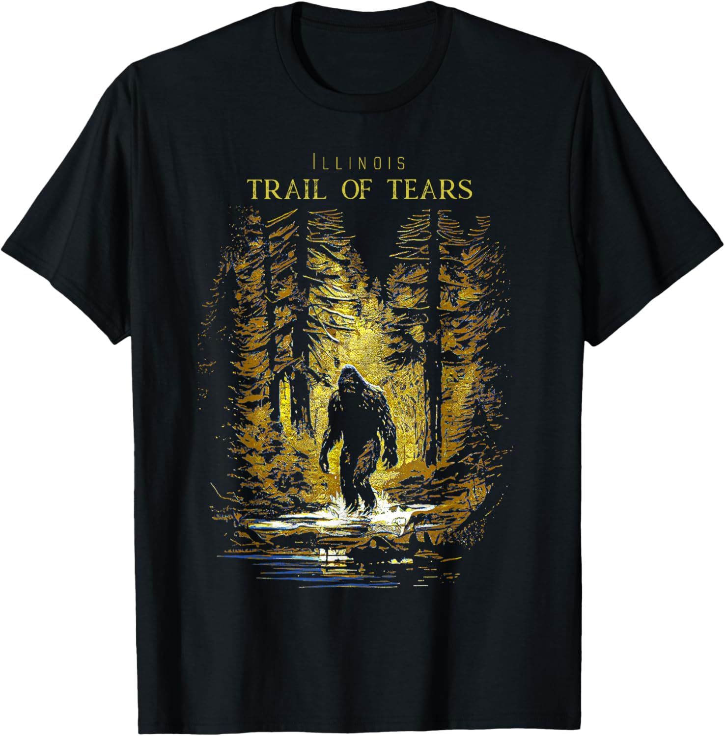Trail of Tears Illinois T-Shirt - T-Shirt | Black
