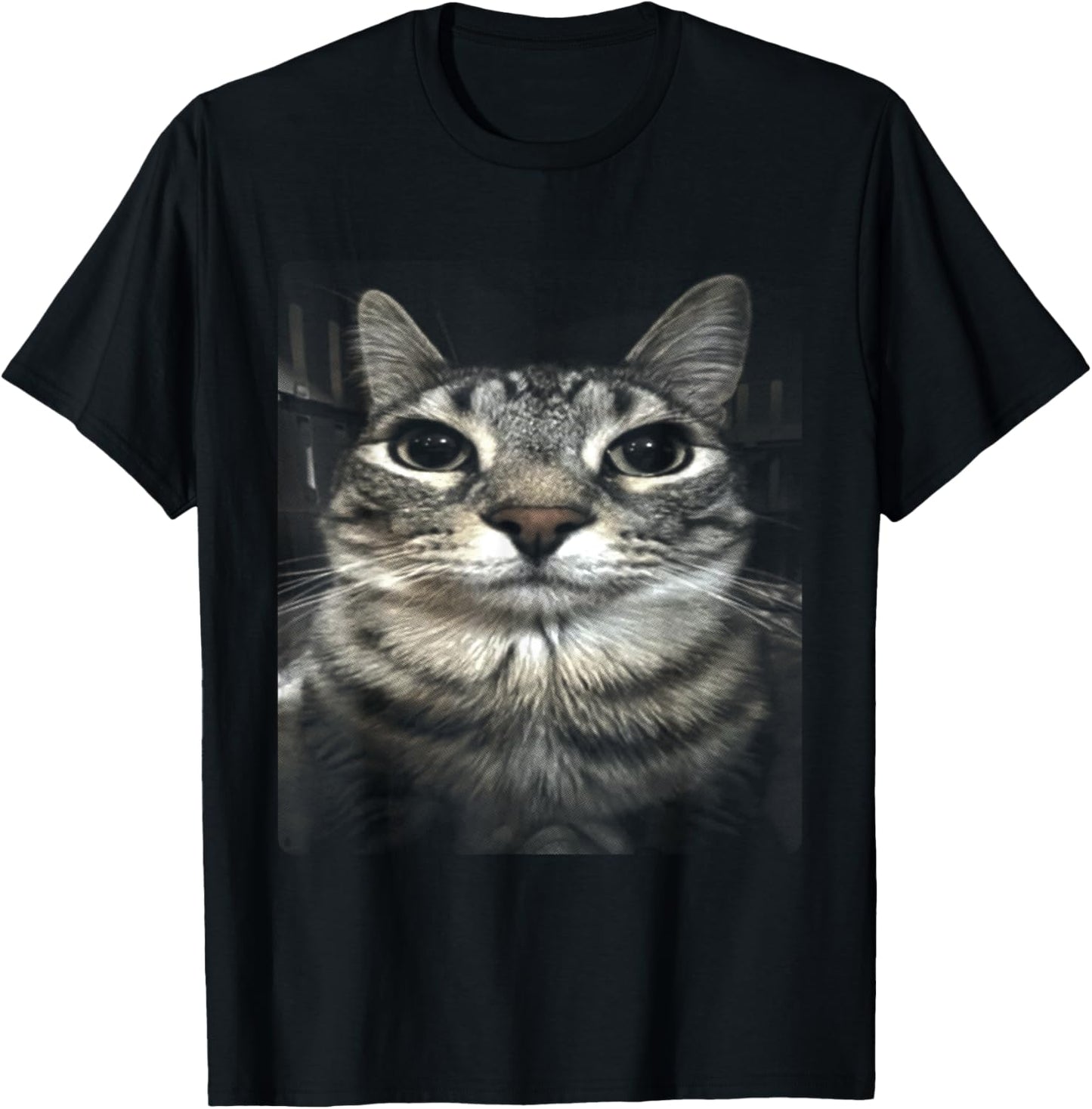Silly Cat Meme T-Shirt - T-Shirt | Black